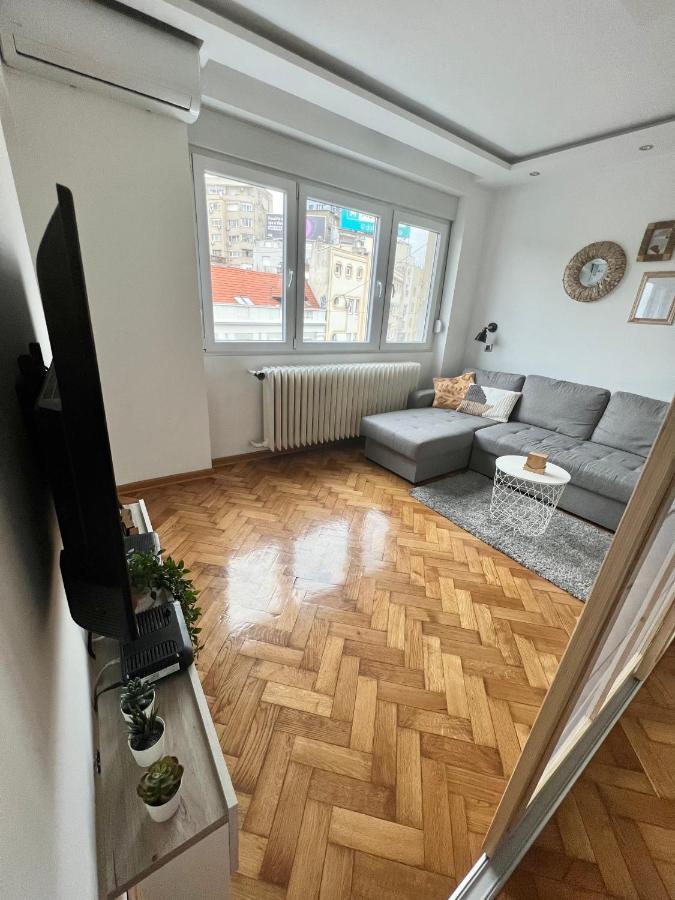 Comfortable Apartment In City Hub Belgrado Buitenkant foto